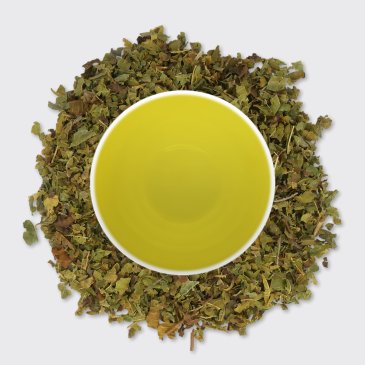 Lemon Verbena