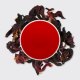Organic Hibiscus, tea flowers and steeped liquor