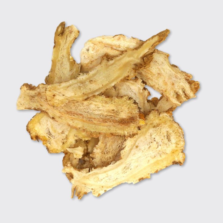 Angelica root