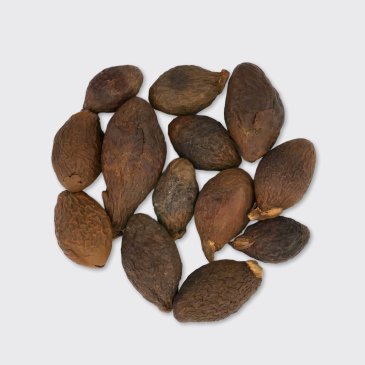 Boat Sterculia Seeds