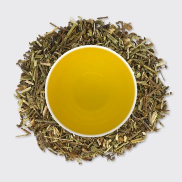 Vervain