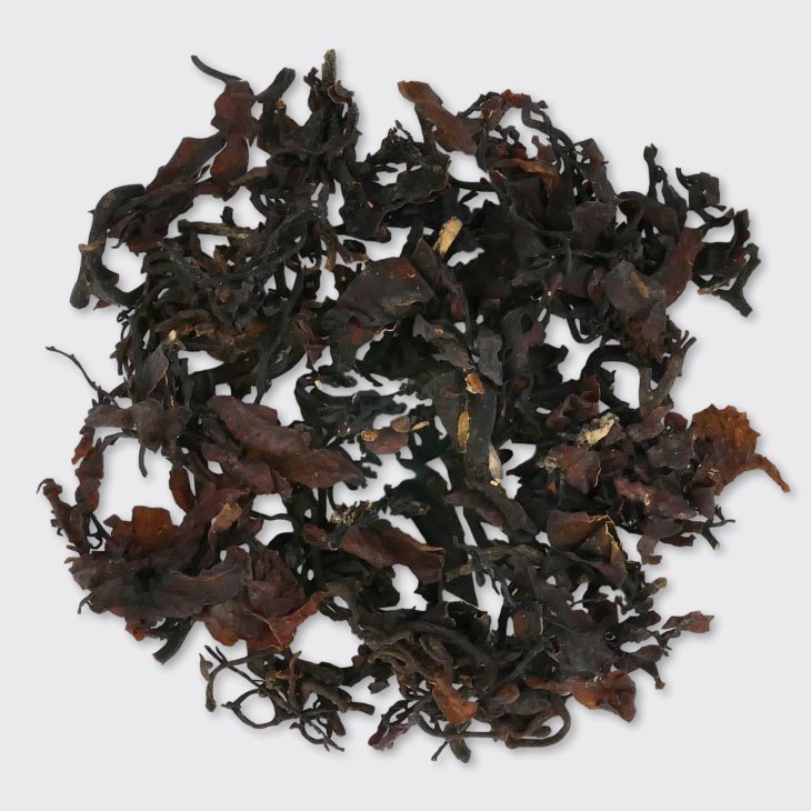 Sea Weed