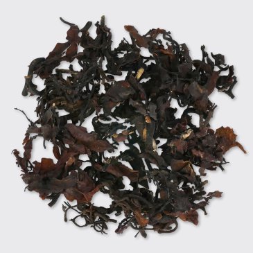 Sea Weed