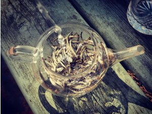 How To Find the Best White Tea in the World