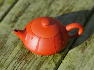 Chaozhou Clay Handmade Chinese Teapot by Mr Wu