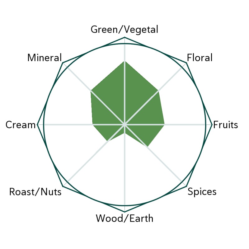 Green Coil - Pre Qing Ming Flavour Wheel