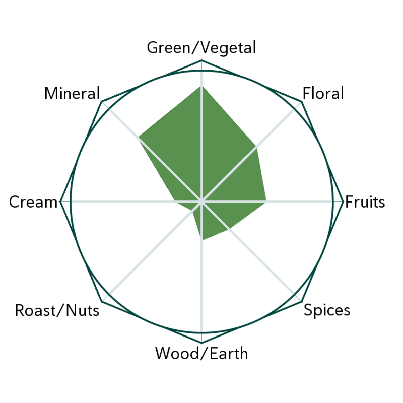Yabukita Sencha Flavour Wheel