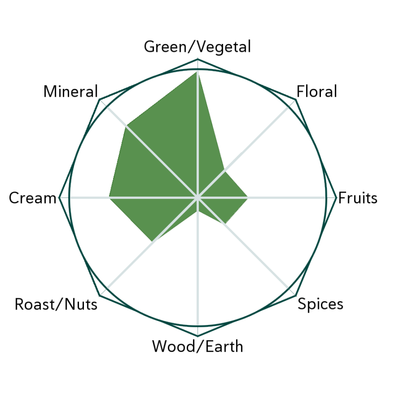 Uji Hikari Matcha Flavour Wheel