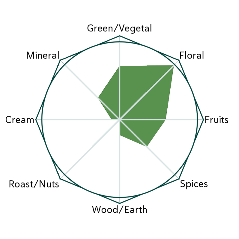 Dragon Pearl Jasmine Flavour Wheel